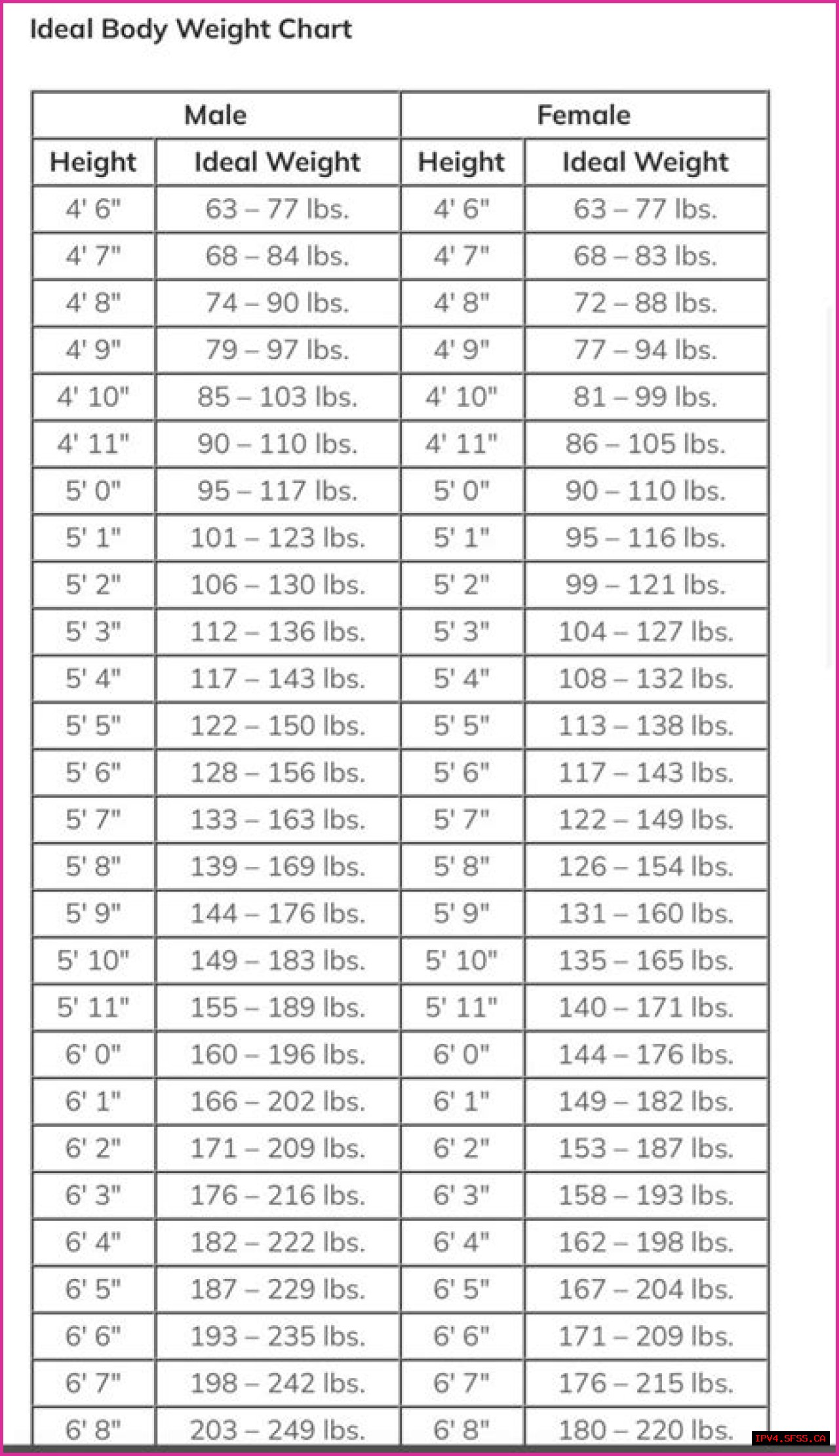 Adin Ross: All You Need to Know - Net Worth, Age, Biography, Personal Life, Height, and Weight