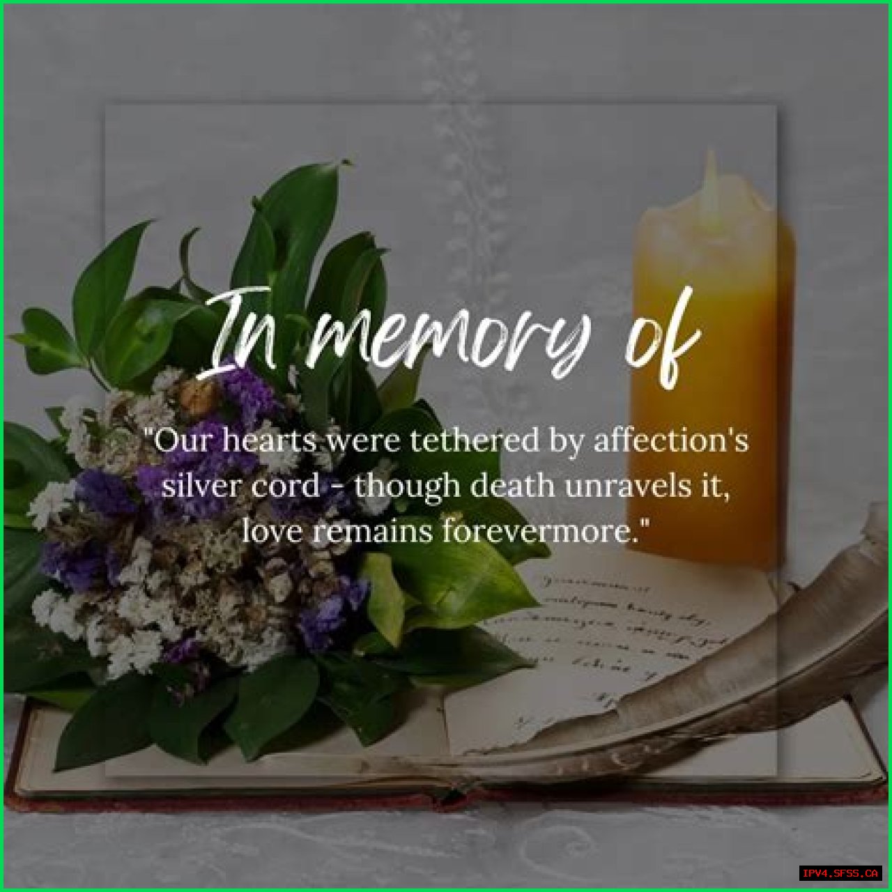 Remembering The Life Of Mary Bliss: A Cherished Memory